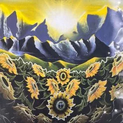 Big Summer Classic - 2005 Tom Giffin Poster SCI, YMSB, Umphrey's Gig Posters