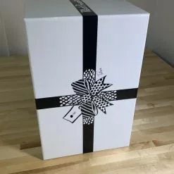 Neo - 2021 Jim Pollock Hand Cast Bronze Statue #'d/100