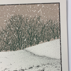 Colorado Yonder Mountain String Band - 2013 Neal Williams Poster Aspen, CO