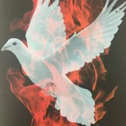 Birth Of A Phoenix #1 - 2010 Todd Slater Poster Art Print Art Prints