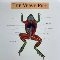 Sold Out Posters The Verve Pipe - 1999 Original Vinyl Poster Insert 12x12 Record Art