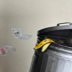 Teddy I - 2019 Mike Mitchell Poster Art Print Mikeland AP 10 Teddy I - 2019 Mike Mitchell Poster Art Print Mikeland AP