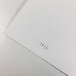 Best Friends - 2008 Mike Budai Poster Art Print