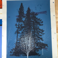 Test Print 3 Pack - Dan McCarthy Posters Art Prints White Tree Woods Jurrasic 1/1