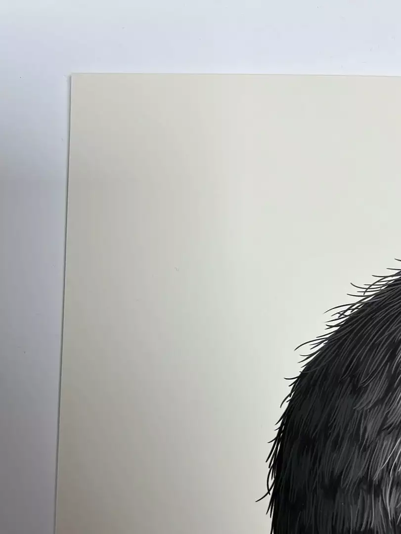 Virginia Opossum - 2018 Mike Mitchell Poster Art Print Variant 5 Virginia Opossum - 2018 Mike Mitchell Poster Art Print Variant