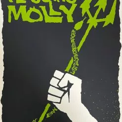 Gig Posters Flogging Molly - 2006 Todd Slater Poster Dallas, TX