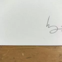 Fat Bird - 2017 Mike Mitchell Poster Himalayan Bulbul Art Prints