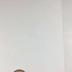 Hollow Friends - 2008 Mike Budai Poster Art Print