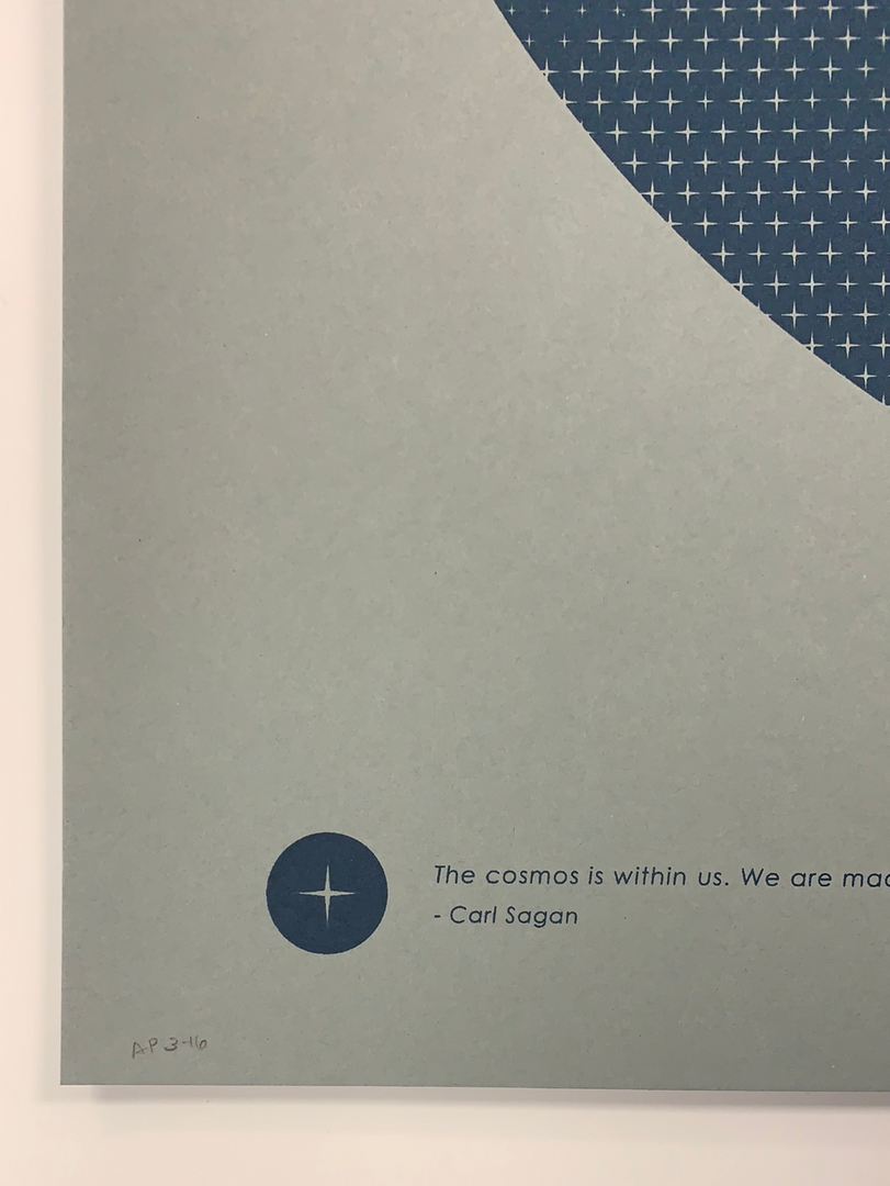 Carl Sagan - 2016 Justin Van Genderen Poster 1st Edition 8 Carl Sagan - 2016 Justin Van Genderen Poster 1st Edition