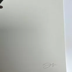 Virginia Opossum - 2018 Mike Mitchell Poster Art Print Variant 12 Virginia Opossum - 2018 Mike Mitchell Poster Art Print Variant