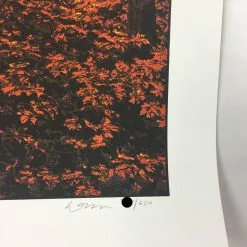 Art Prints Elder Days - 2010 Dan McCarthy Poster Art Print