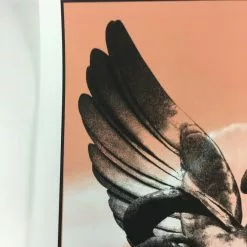 Karen Eilson - 2010 Todd Slater Poster June U.S Tour