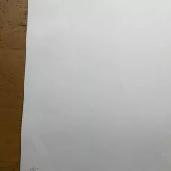 Art Prints Long Deserved - 2008 Mike Budai Poster Art Print