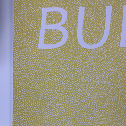 Bully - 2016 Fugscreens Studios Poster Chicago, IL Empty Bottle