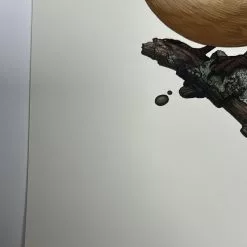 Fat Bird - 2019 Mike Mitchell Poster Carolina Wren Variant