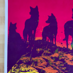 Widespread Panic - 2007 Chris Bilheimer Poster Loveland, CO Colorado