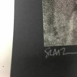 Gig Posters The Dead Weather - 2009 Todd Slater Poster Seattle, WA Paramount Theatre