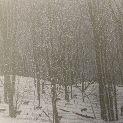 Art Prints Guiding Light - 2010 Dan McCarthy Poster Art Print