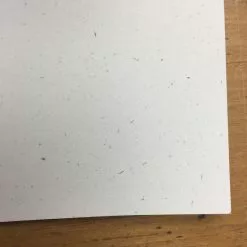 Gig Posters Andrew Bird - 2005 Jay Ryan Poster