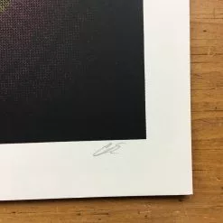 Edward Sharpe And The Magnetic Zeros - 2016 Delicious Design League Poster Chica