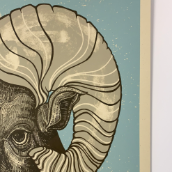 Fourmile Canyon Revival - 2010 John Vogl Poster Broomfield, CO 11 Fourmile Canyon Revival - 2010 John Vogl Poster Broomfield, CO