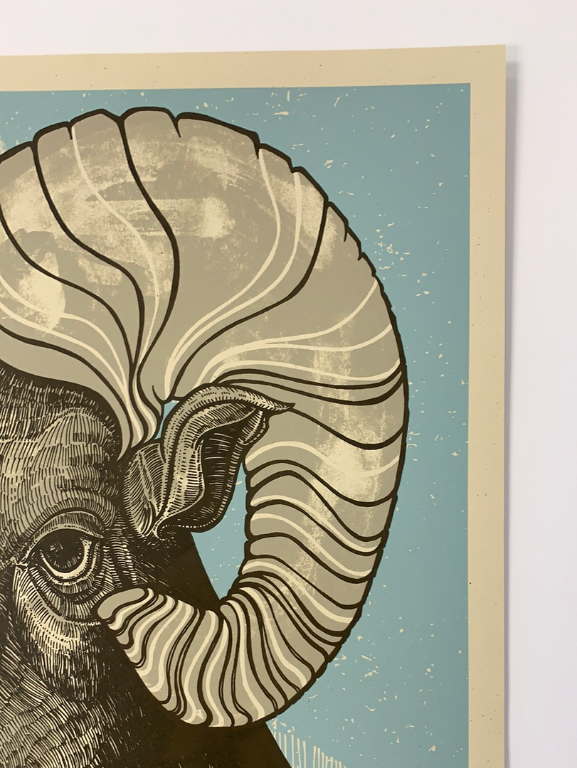 Fourmile Canyon Revival - 2010 John Vogl Poster Broomfield, CO 6 Fourmile Canyon Revival - 2010 John Vogl Poster Broomfield, CO