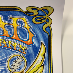 Gig Posters Dead & Company - 2016 Dave Hunter Poster Mountain View, CA Summer Tour