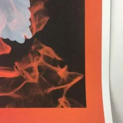 Birth Of A Phoenix #1 - 2010 Todd Slater Poster Art Print Art Prints