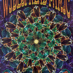 BGP 241 Widespread Panic - 2000 Chris Shaw The Warfield Theatre San Fran 1st Gig Posters