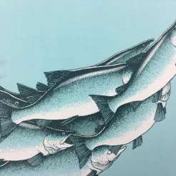 Art Prints Salmon Run - 2015 Justin Santora Poster Art Print