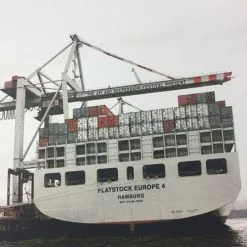 Flatstock Europe 4 - 2009 Dan MacAdam Crosshair Poster Hamburg, GER