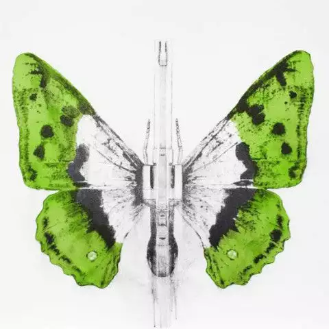 Art Prints 344 - 2014 Ludo Street Artist Butterfly Lithograph Poster 2 Art Prints 344 - 2014 Ludo Street Artist Butterfly Lithograph Poster