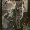 Metallica - 2018 AJ Frena Poster State College, PA Bryce Jordan Center AP Gig Posters