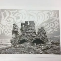 Dead Meadow/Sweet Apple - 2011 Dan MacAdam Crosshair Poster Los Angeles, CA Spac